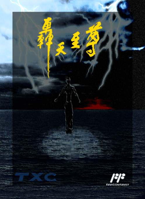 Thunder Warrior - Nintendo Entertainment System