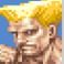 Guile's Victory