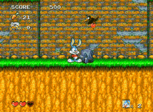 Tiny Toon Adventures : Buster's Hidden Treasure