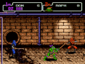 Teenage Mutant Ninja Turtles : The Hyperstone Heist №0
