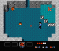 Zoda's Revenge : StarTropics II №0