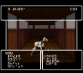 Wizardry Gaiden IV: Throb of the Demon's Heart  №0