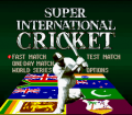 Super International Cricket №3
