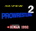 Super Fire Pro Wrestling 2 №3