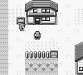 Pocket Monsters : Pikachu №0
