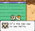 Hamtaro: Ham-Hams Unite! №0