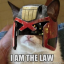 Judge Catt