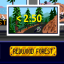Redwood Forest Time Trial