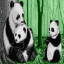 Picture for achievement Panda}