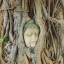 Ayutthaya's Buddha