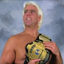 Picture for achievement Ric Flair is going to Wrestlemania!}
