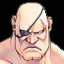 Retro Achievement for Sagat's Strong Rival