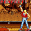 Retro Achievement for Perfect