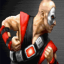 Retro Achievement for Kano