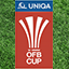 Logro retro para el juego UNIQA Cup