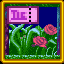 Retro-Risultato per il gioco Stargazing in the Lavender Gardens