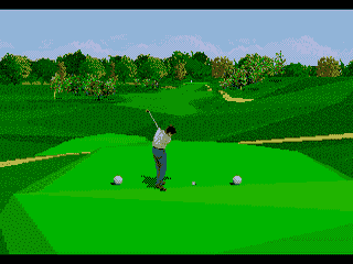 screenshot №2 for game PGA Tour 96