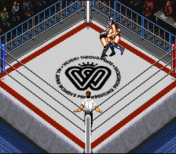 screenshot №2 for game Super Fire Pro Wrestling : Queen's Special