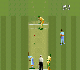 Super International Cricket screenshot №0