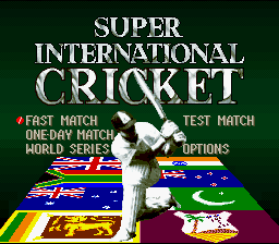 Super International Cricket screenshot №1