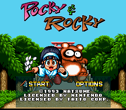 Pocky & Rocky screenshot №1