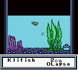 Legend of the River King GBC