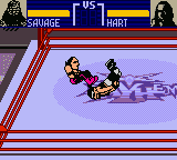screenshot №2 for game WCW Mayhem