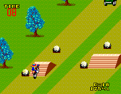 screenshot №1 for game Enduro Racer