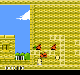 Kiwi Kraze : A Bird-Brained Adventure!