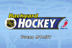 screenshot №3 for game Backyard Hockey