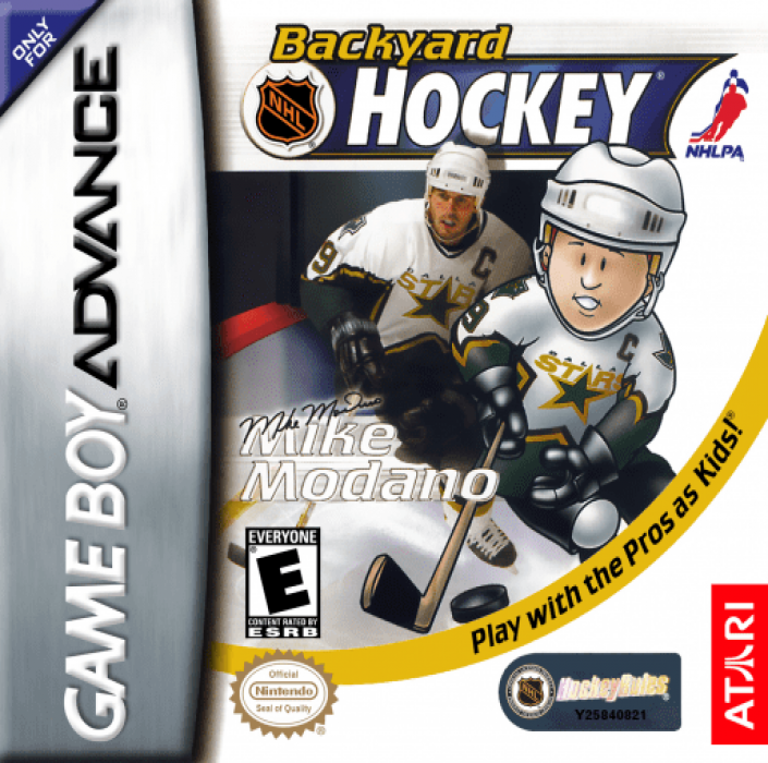 screenshot №0 for game Backyard Hockey