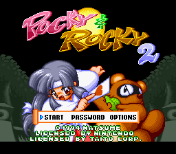 Pocky & Rocky 2 screenshot №1