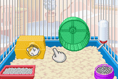 Petz : Hamsterz Life 2