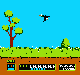 Duck Hunt