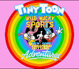 screenshot №3 for game Tiny Toon Adventures : Wacky Sports Challenge